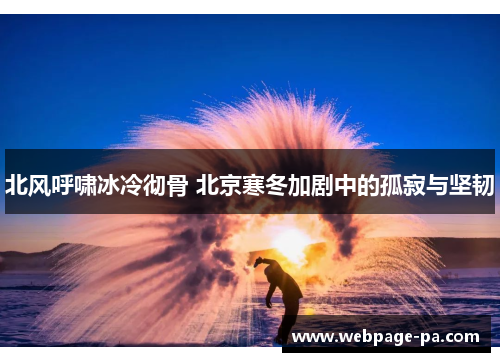 北风呼啸冰冷彻骨 北京寒冬加剧中的孤寂与坚韧 北风呼啸冰冷彻骨 北京寒冬加剧中的孤寂与坚韧
