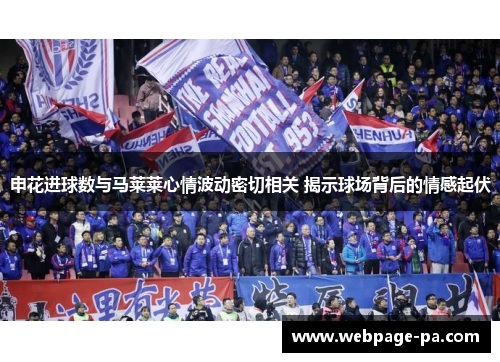申花进球数与马莱莱心情波动密切相关 揭示球场背后的情感起伏