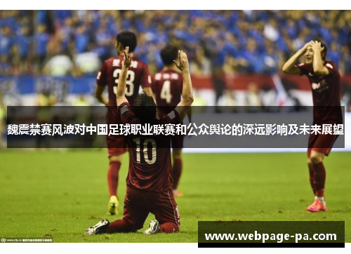 魏震禁赛风波对中国足球职业联赛和公众舆论的深远影响及未来展望