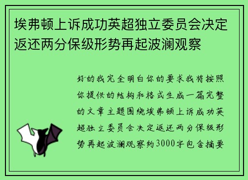 埃弗顿上诉成功英超独立委员会决定返还两分保级形势再起波澜观察 埃弗顿上诉成功英超独立委员会决定返还两分保级形势再起波澜观察